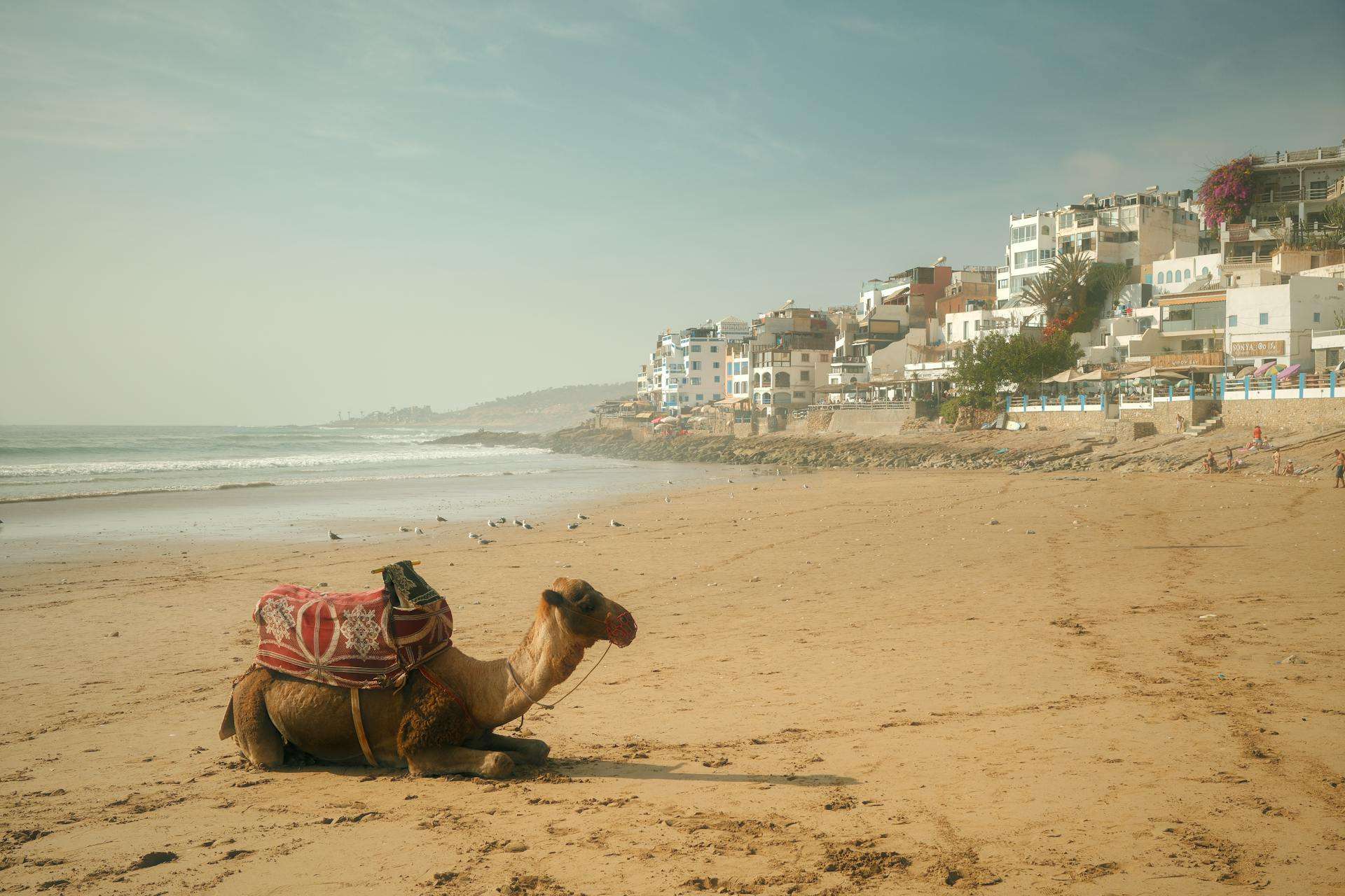 Hotels in Coastal and Resort Morocco — Agadir resort districts, Essaouira surf quarters, Tangier coastal areas and beach-break pacing