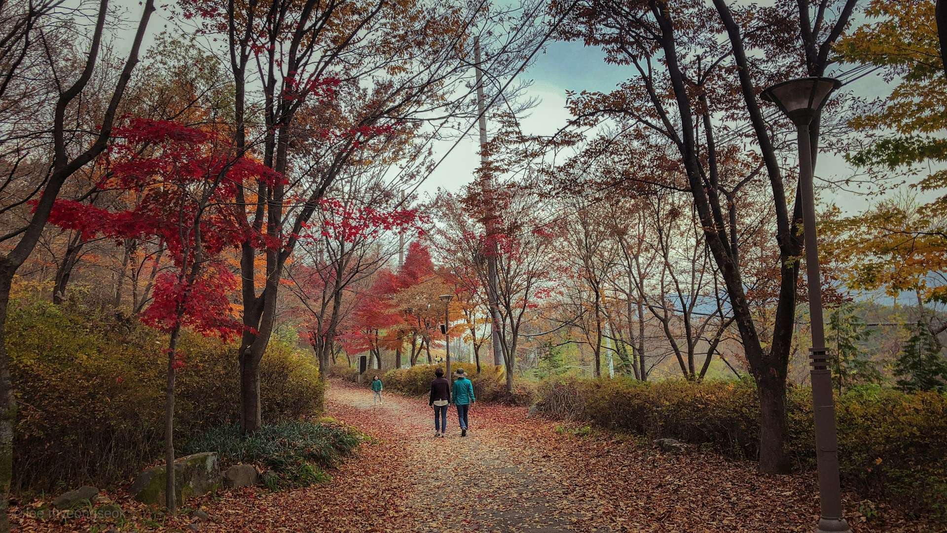 Hotels in Southern South Korea — Daegu market districts, Gyeongsang regional dining, warmer southern city pacing and southern Korea hotel planning