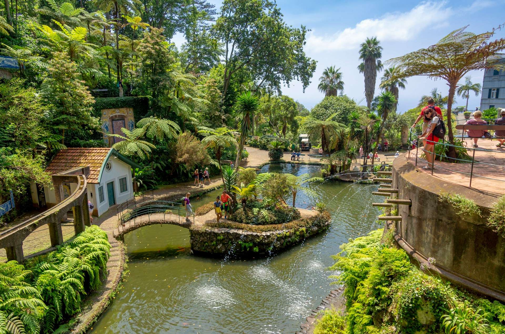 Hotels in Madeira — Funchal harbour stays, levada walks, gardens, coastal viewpoints and island planning