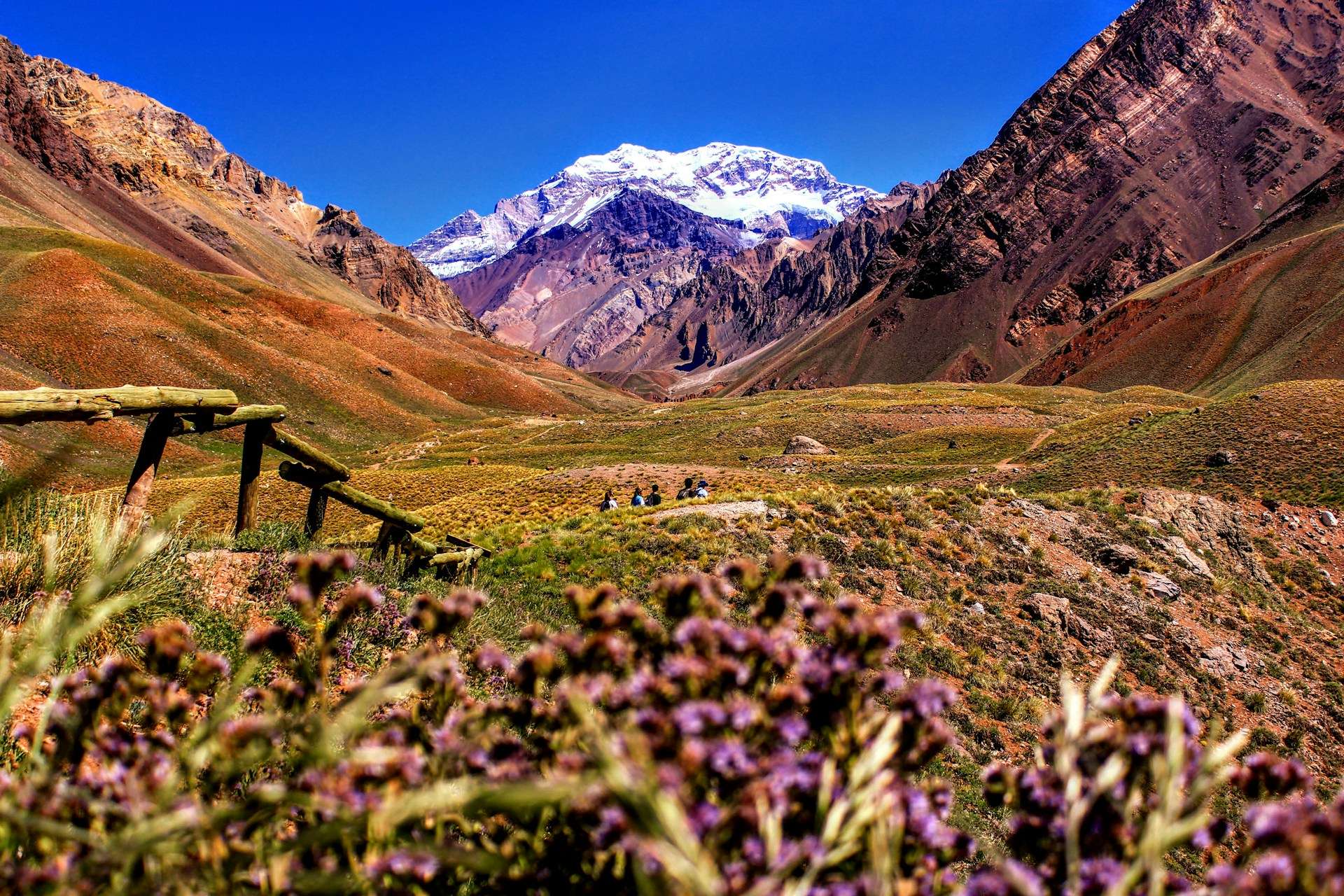 Hotels in Mendoza Wine Country — city-centre tasting corridors, Uco Valley vineyard lodges, Luján de Cuyo estate routes, Andean-view districts and slower wine-country pacing