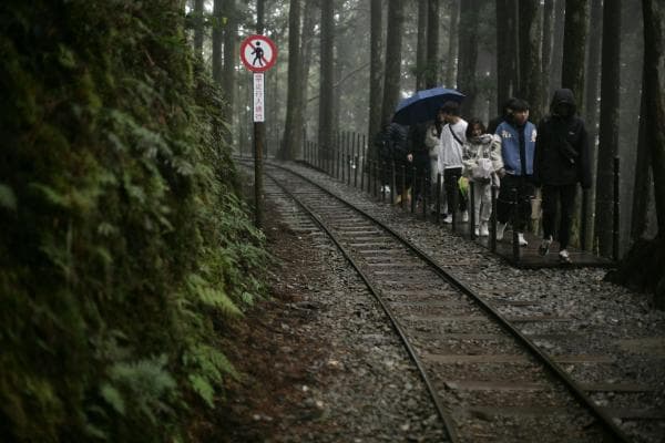 Hotels in Alishan, Taiwan Mountains