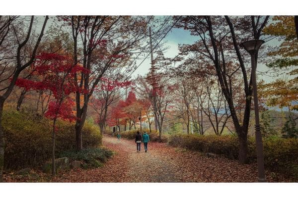 Hotels in Daegu, South Korea, South Korea