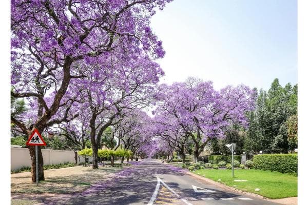 Hotels in Pretoria, South Africa