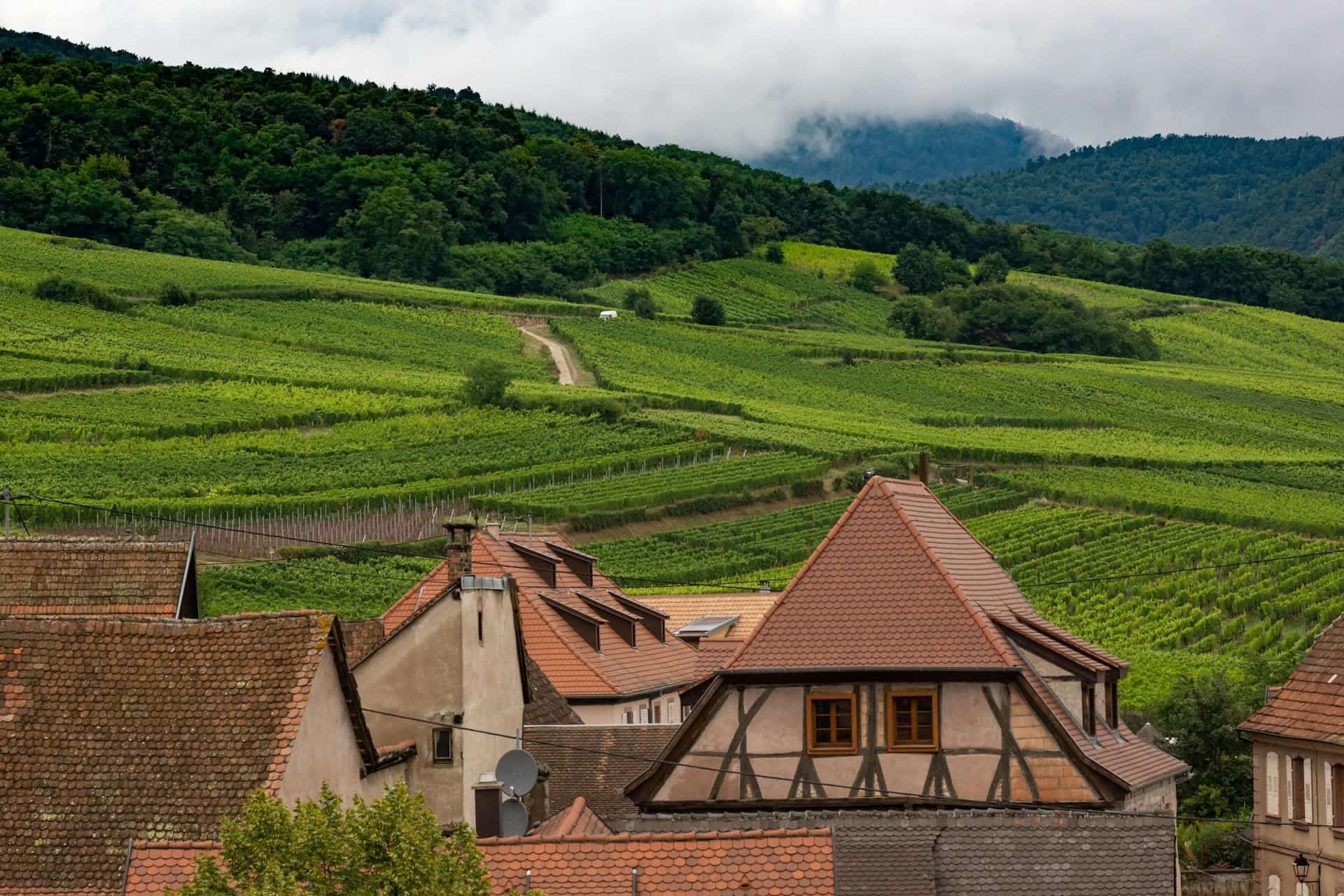 Hotels in Alsace, France — Strasbourg, half-timbered streets, canals, cathedral views, and eastern France city stays