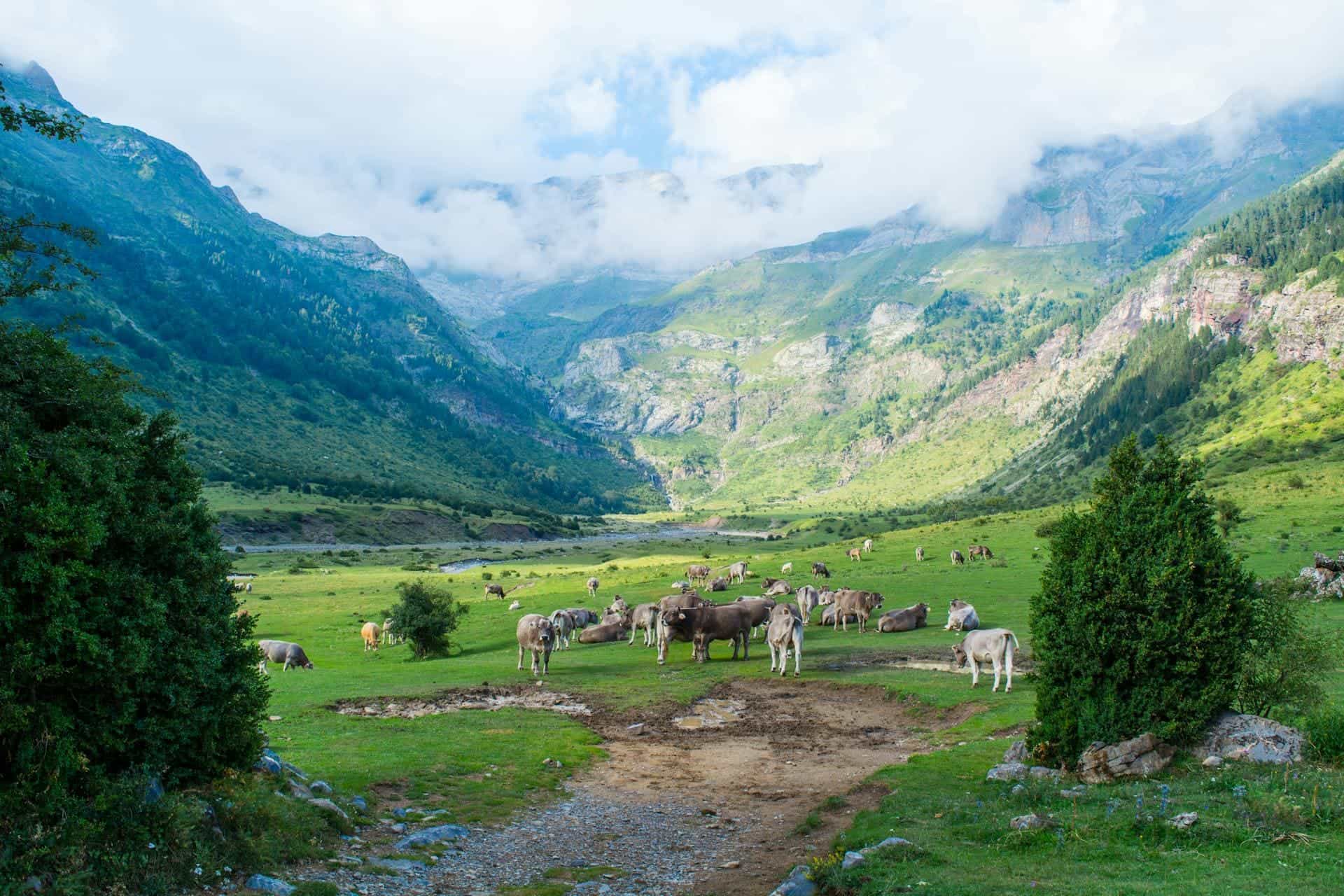Hotels in Aragón, Spain — Zaragoza historic streets, plazas, churches, museums, riverside areas, restaurants, and inland Spain city-break stays