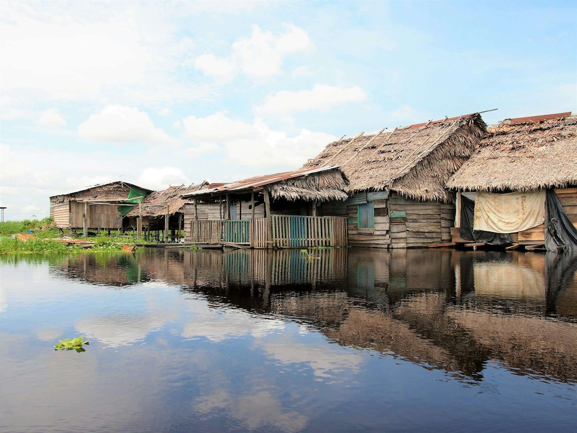 Hotels in the Peruvian Amazon — Iquitos riverfront districts, rainforest lodge access, Amazon river corridors and jungle hotel planning