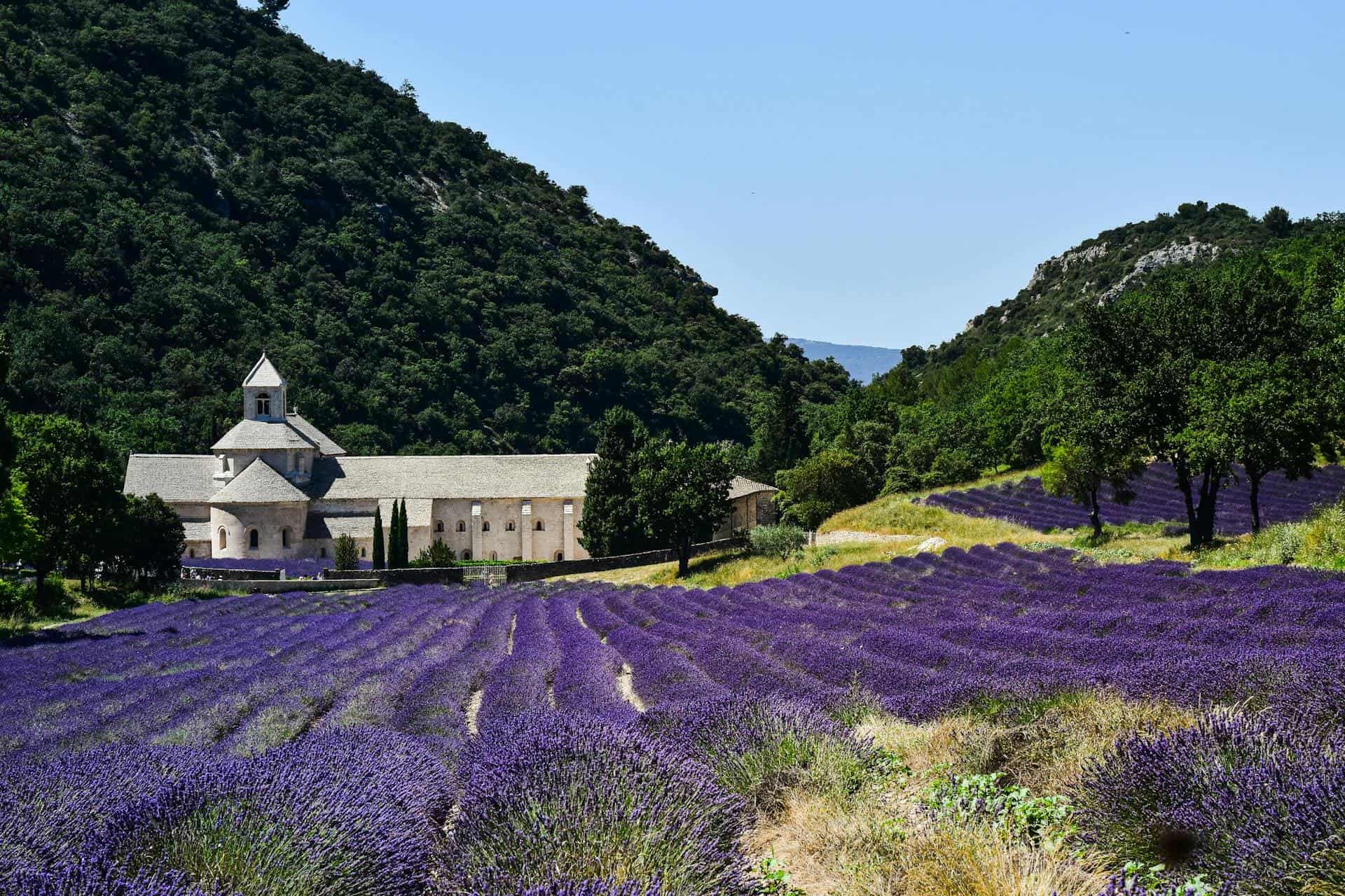 Hotels in Provence, France — Marseille Old Port, Mediterranean atmosphere, markets, museums, and coastal scenery