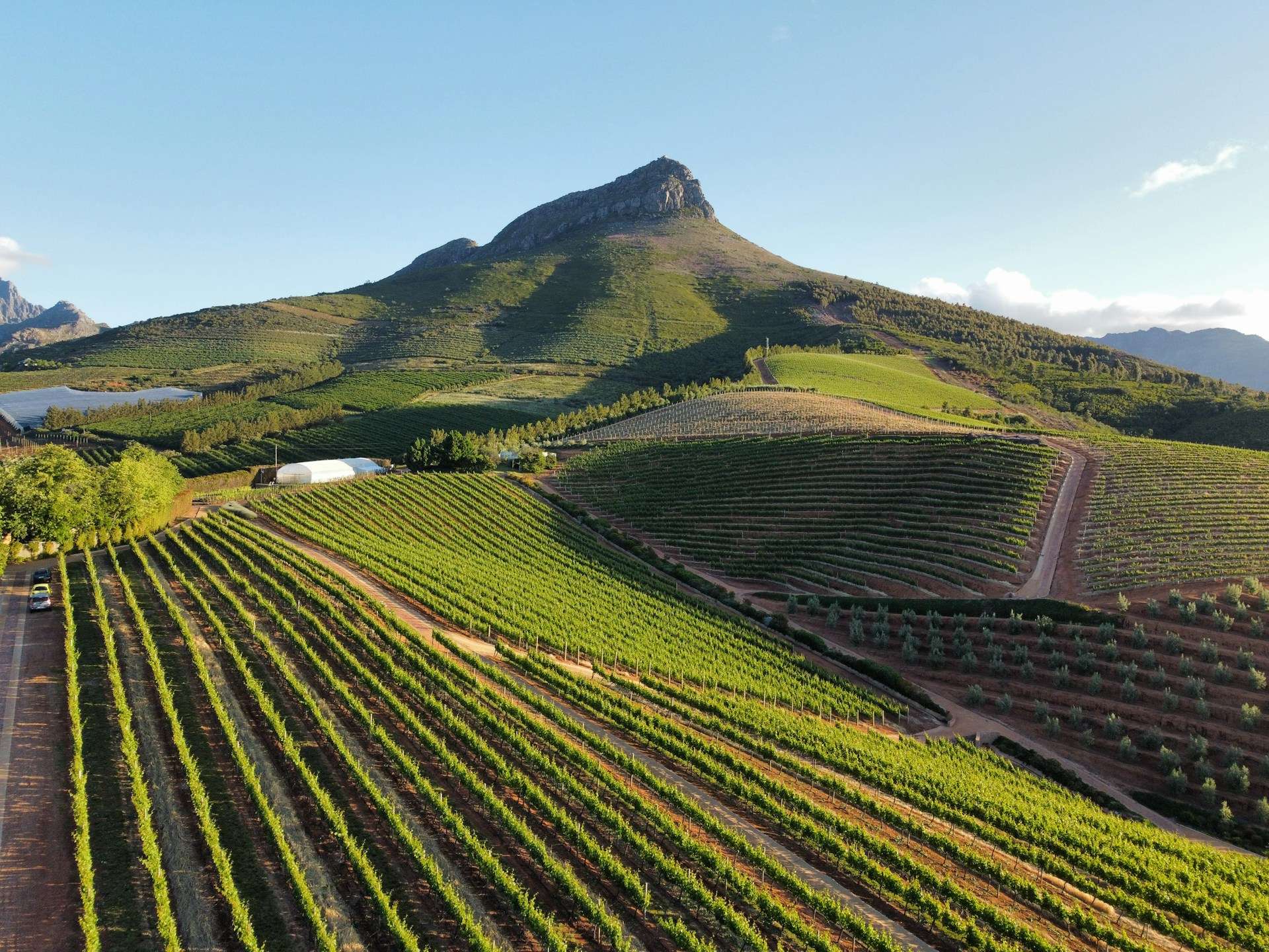 Hotels in the Cape Winelands — Stellenbosch town quarters, Franschhoek valley districts and wine-country hotel planning