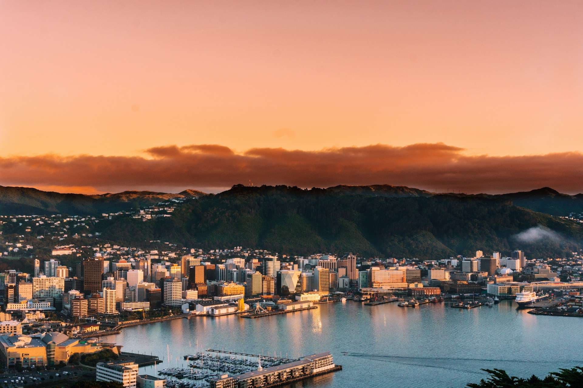 Hotels in Wellington and the Lower North Island — compact capital districts, creative-city quarters and lower North Island hotel planning